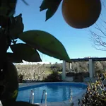 别墅 科美内尼别墅 Pano Akourdalia