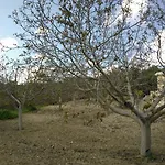 Koumneni Pano Akourdalia
