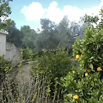 Villa Koumneni Pano Akourdalia