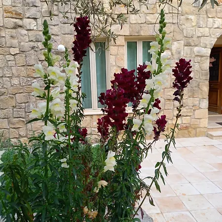 Koumneni Villa Pano Akourdalia