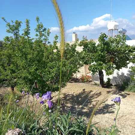 Koumneni Pano Akourdalia