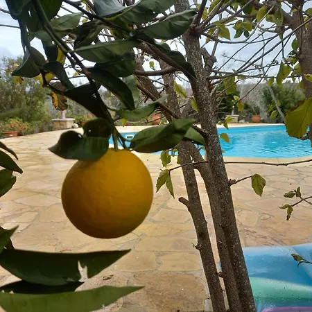 Koumneni Villa Pano Akourdalia