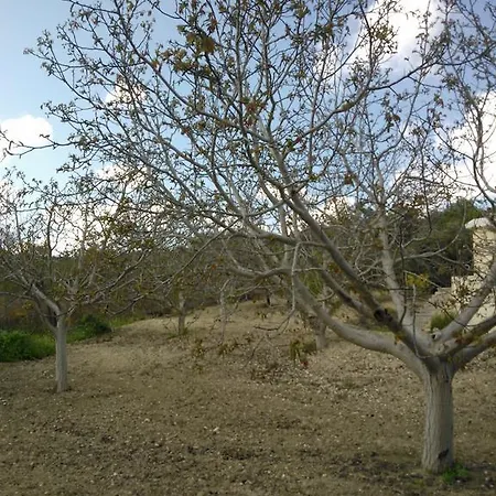 Koumneni Pano Akourdalia