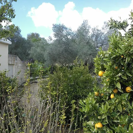 Villa Koumneni Pano Akourdalia