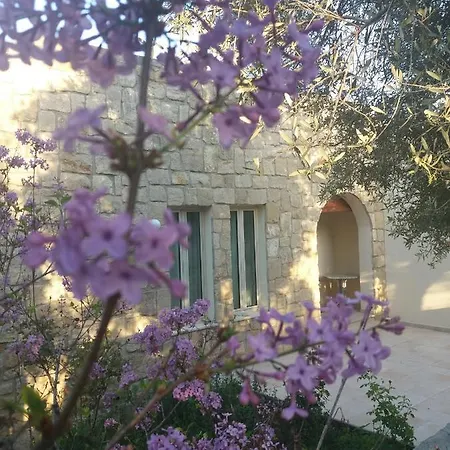 Koumneni Villa Pano Akourdalia