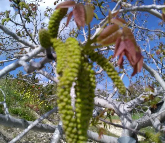 Villa Koumneni Pano Akourdalia