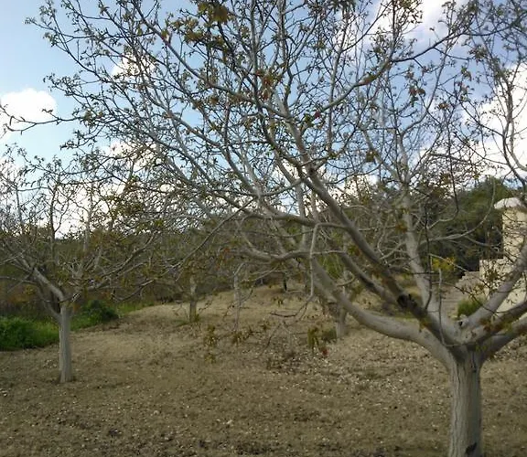 Koumneni Pano Akourdalia