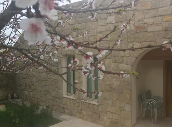 Koumneni * Pano Akourdalia